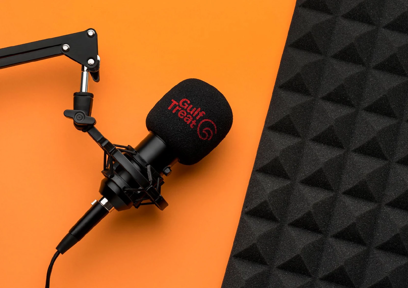 Gulf Treat: the identity on a studio microphone windscreen.