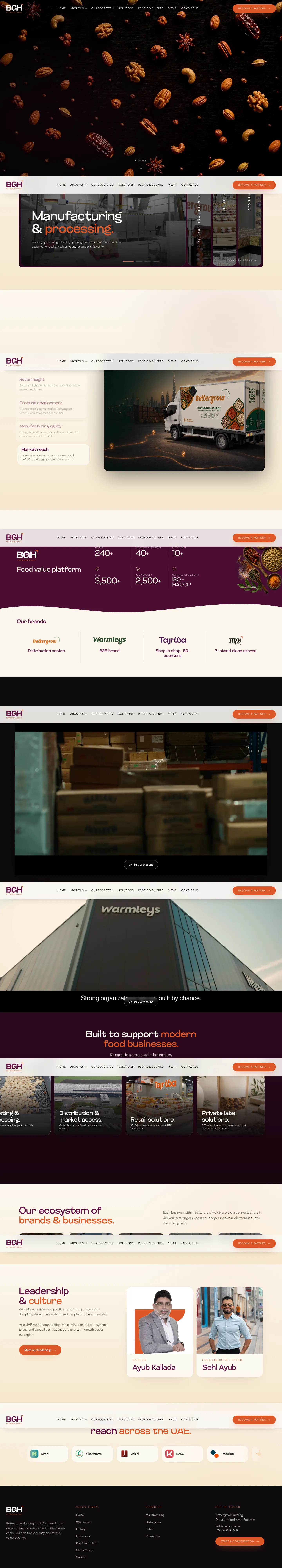 Bettergrow Holding website, full-page live capture on desktop