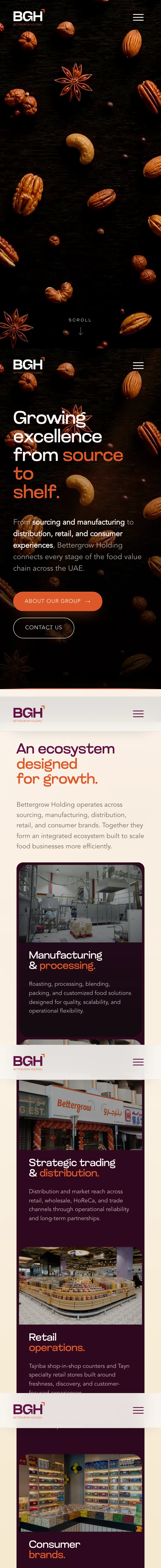 Bettergrow Holding website, full-page live capture on mobile