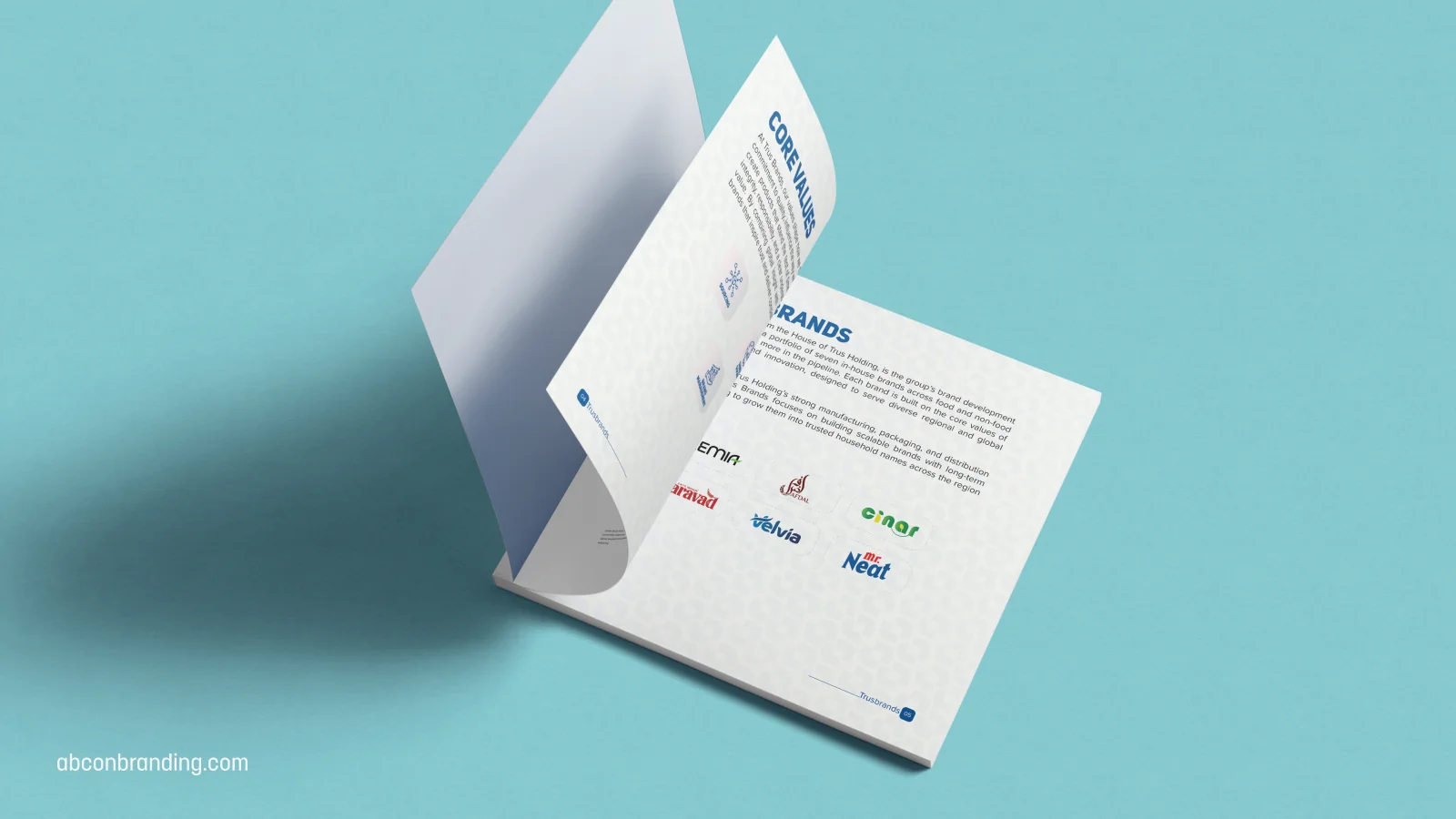 Trusbrands: Brand overview
