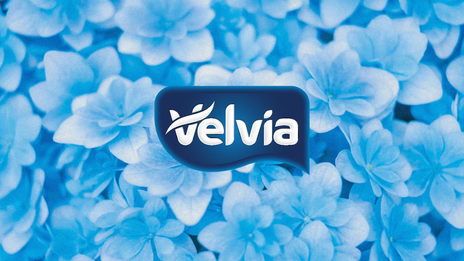 Velvia: Floral identity opening