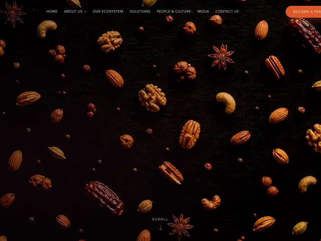 Bettergrow Holding website by Abcon Branding