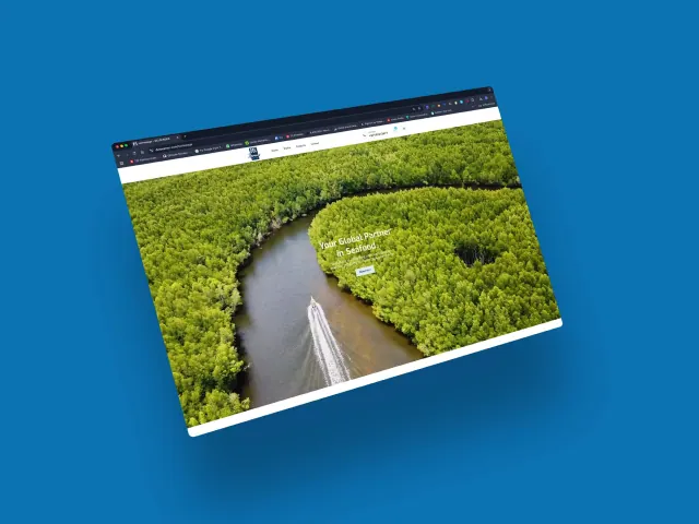 Delseamer website by Abcon